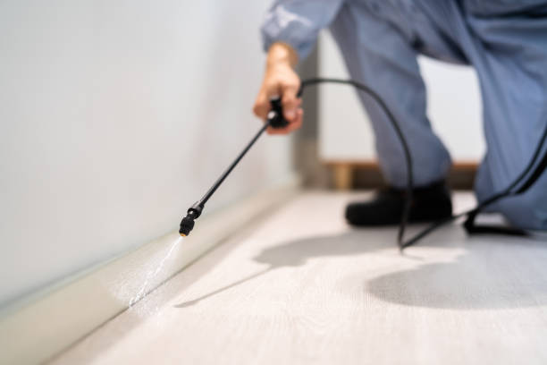 Licensed Pest Control service in Ziebach County County, SD - Nex Pest Control